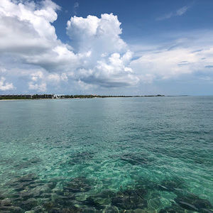 Meet your Posher, Adam